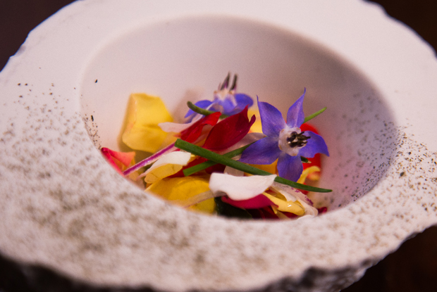 DOM-LATAM-2018-DISH1